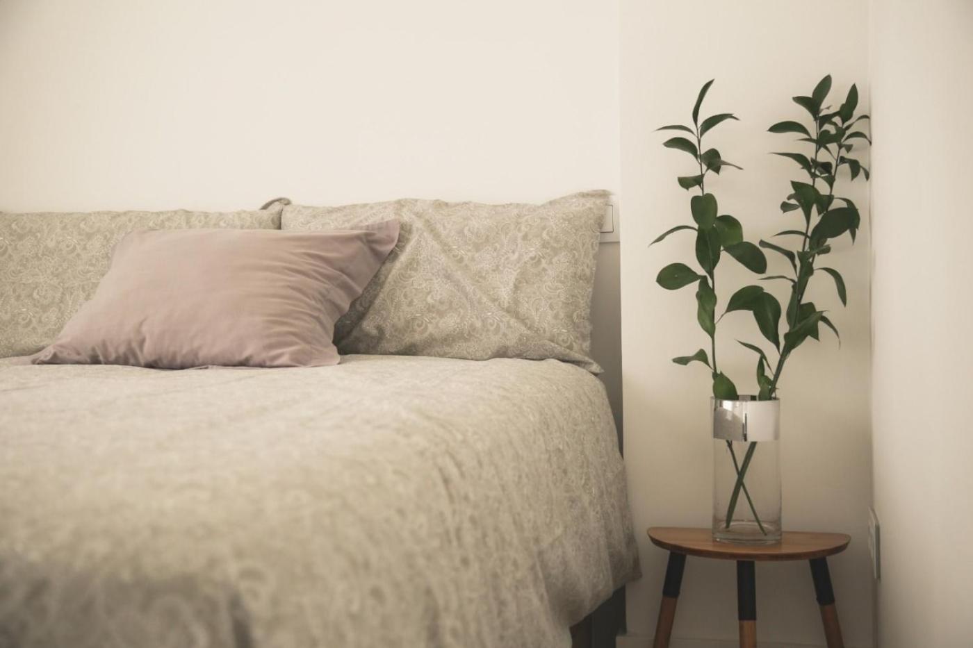 Romantico Apartamento En El Centro Santander Ngoại thất bức ảnh